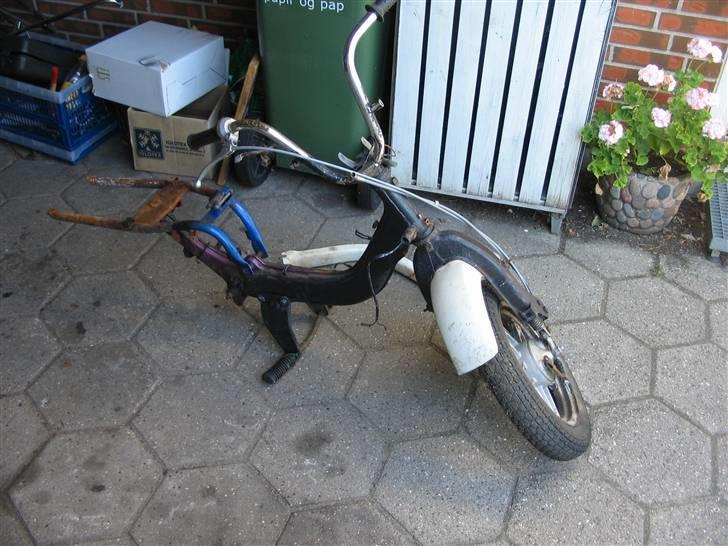 Suzuki FZ50 / Sonic - Projekt start billede 2