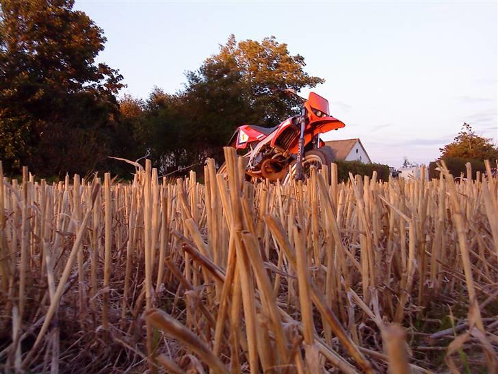 Gilera Smt - Tilsalg billede 10