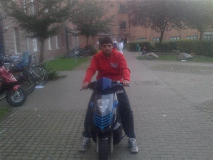 Aprilia sonic Sport  billede 8