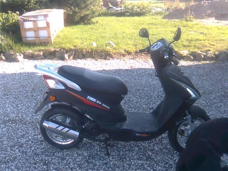 TMS Z2 - Bandit billede 1