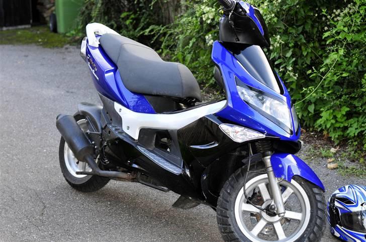 PGO G-max Gjorde det godt billede 17