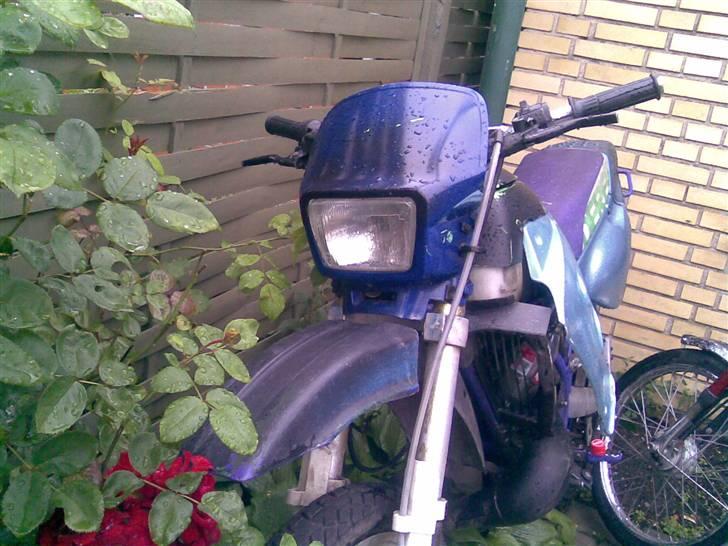 Derbi Senda 45´er billede 2