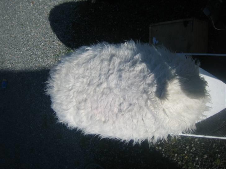 Yamaha Jog / Space  SOLGT ! billede 14