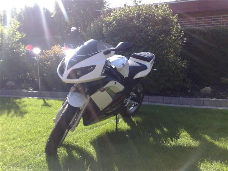 Rieju matrix djævlen byttet. - nyvasket billede 9