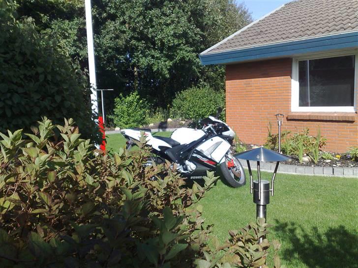 Rieju matrix djævlen byttet. - nyvasket billede 10