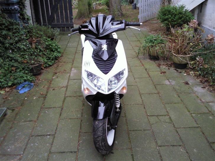 Peugeot speedfight 2 R-cup billede 3