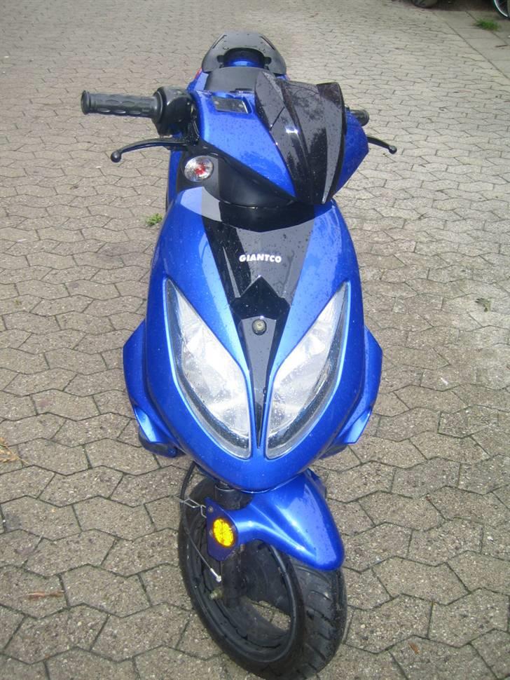 Giantco Stealth - Solgt billede 1