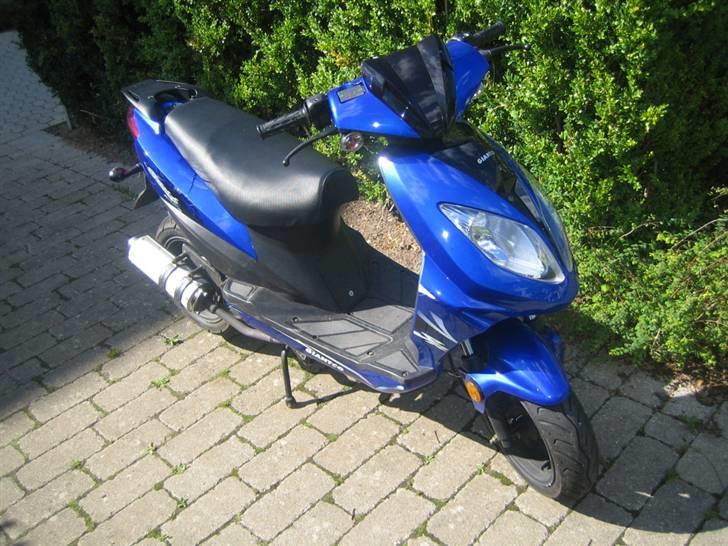 Giantco Stealth - Solgt billede 9