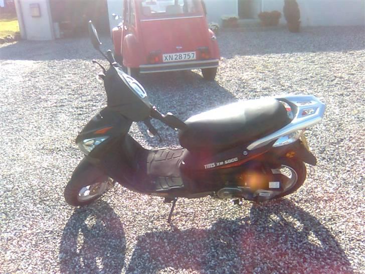 TMS Z2 - Bandit billede 2