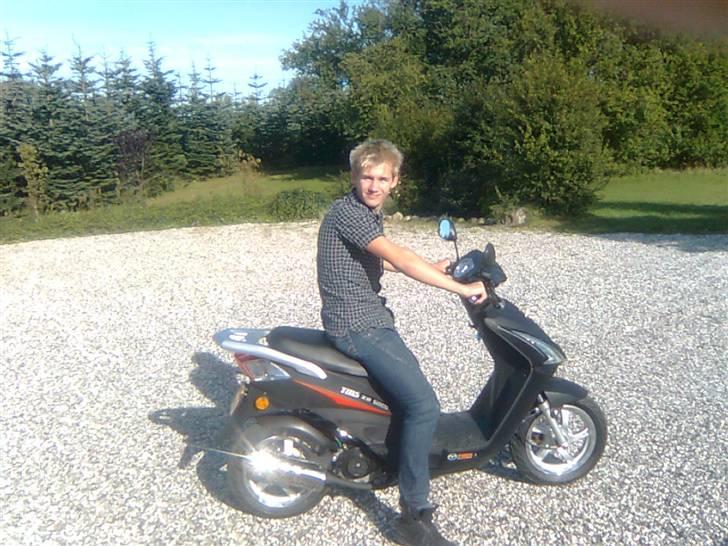 TMS Z2 - Bandit billede 3