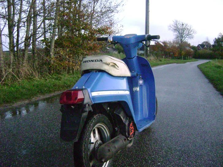 Honda Melody Molly V - Solgt - Oktober - Nyvasket og Nyrenoveret! billede 2