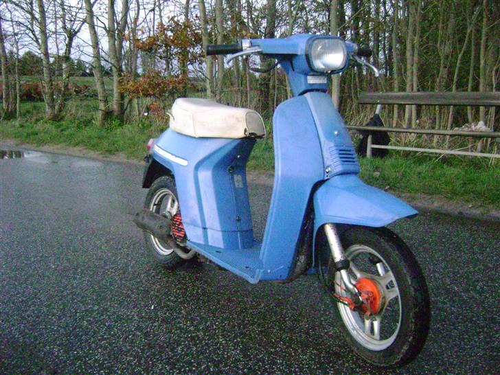 Honda Melody Molly V - Solgt - Oktober - Nyvasket og Nyrenoveret! billede 3