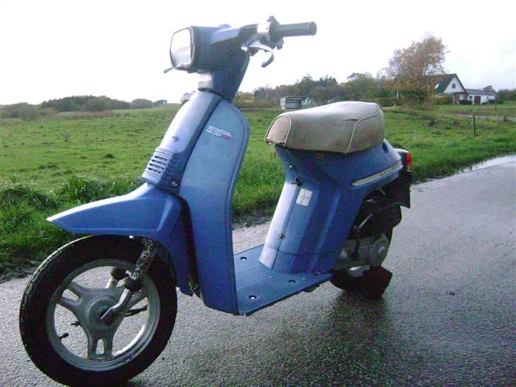 Honda Melody Molly V - Solgt - Oktober - Nyvasket og Nyrenoveret! billede 4