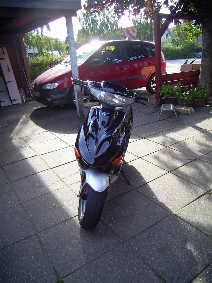 Adly Silverfox solgt billede 1