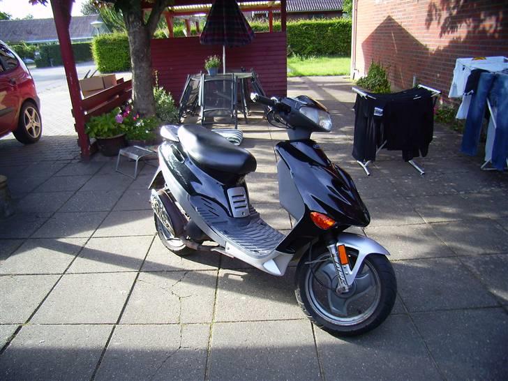 Adly Silverfox solgt billede 2