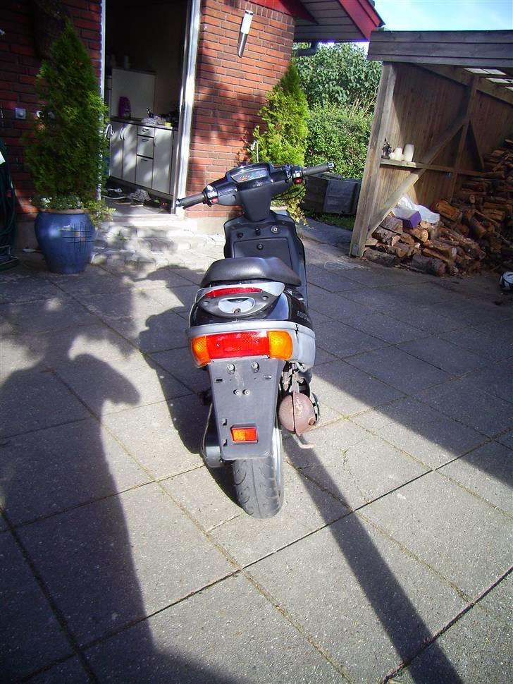 Adly Silverfox solgt billede 4