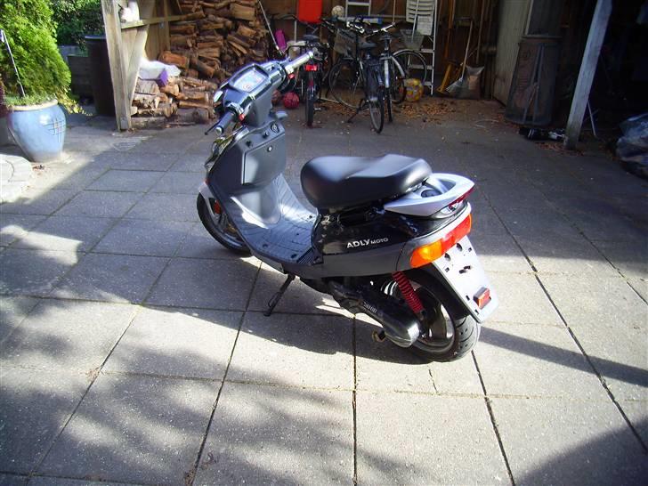 Adly Silverfox solgt billede 5