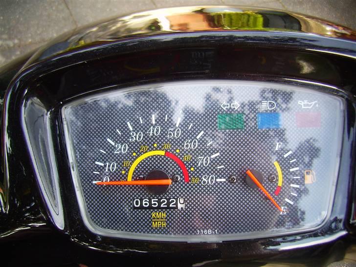 Adly Silverfox solgt billede 6