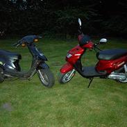 PGO Hot 50 [ BYTTET VÆK ]