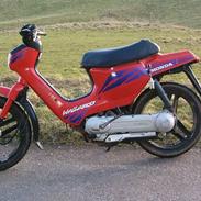 Honda wallaroo SOLGT.