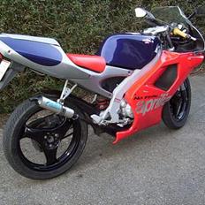 Aprilia RS50 SOLGT