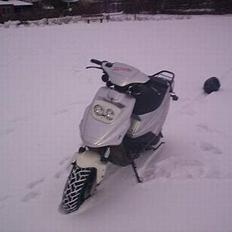 PGO Hot 50 **Sniffer Arnes**