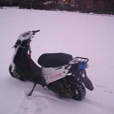 PGO Hot 50 **Sniffer Arnes**