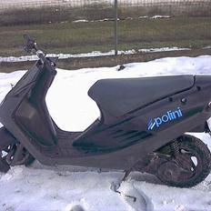 Suzuki surmuler nye billeder