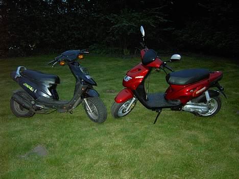 PGO Hot 50 [ BYTTET VÆK ] - sådan så den ud inden jeg gik igang:D billede 5