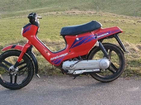 Honda wallaroo SOLGT. billede 1