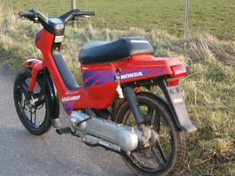 Honda wallaroo SOLGT. billede 3