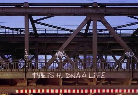 Gilera DNA - Theis H  DNA 4 Life billede 9