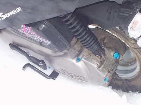 PGO Hot 50 *Projekt mega HOT* - #gammelt billed# Får nye ind når mit projekt er færdig..! billede 3