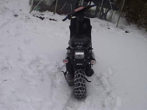 PGO Hot 50 *Projekt mega HOT* - #gammelt billed# Får nye ind når mit projekt er færdig..! billede 7