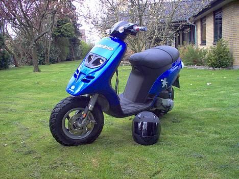 Piaggio Typhoon solgt billede 1