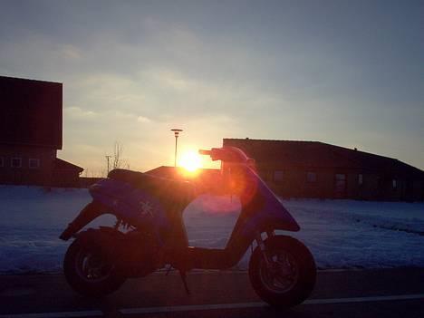 Piaggio Typhoon solgt billede 5