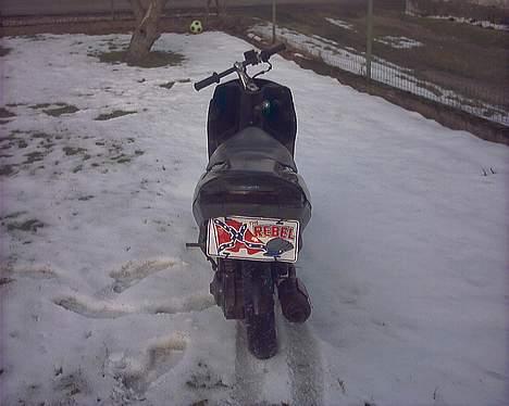 Suzuki surmuler nye billeder - den er ond hva:P billede 1