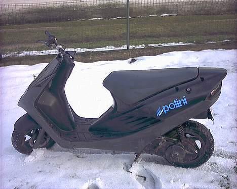Suzuki surmuler nye billeder billede 2