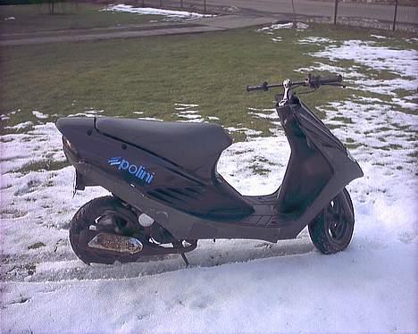 Suzuki surmuler nye billeder billede 3