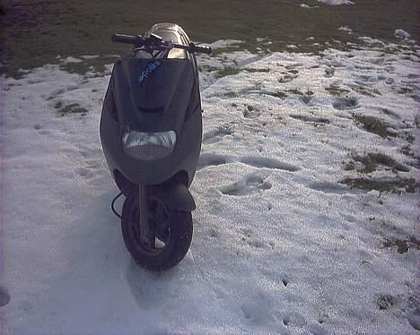 Suzuki surmuler nye billeder billede 4