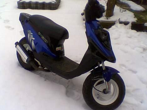 PGO HOT50 EVO 2003 billede 3