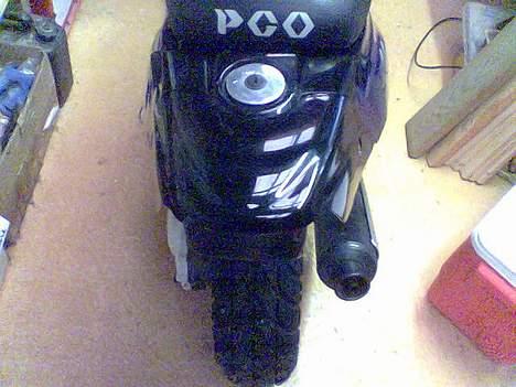PGO HOT50 EVO 2003 billede 5