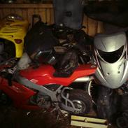 Aprilia rally