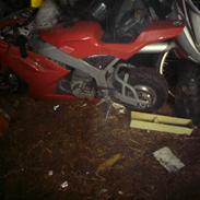 Aprilia rally