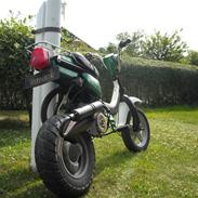 Suzuki fz 50/peugeot  sælges