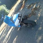 Aprilia ditech (SOLGT)