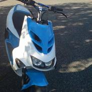 Aprilia ditech (SOLGT)