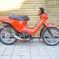 Honda Wallaroo