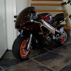 Polini 911 Dream bike