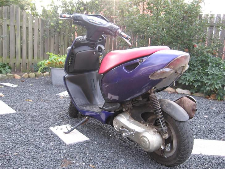 Aprilia Sonic Byttet til monkey billede 6